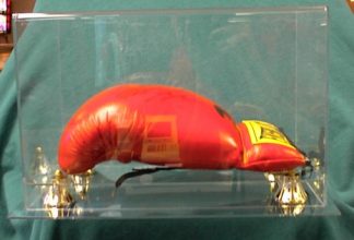 Boxing Glove Display Case Horizontal