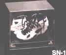 Sneaker Display Case