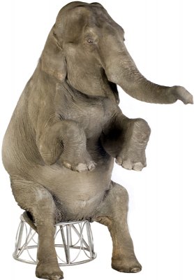 SU-1480 Asian Elephant Lifesize Cardboard Cutout