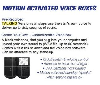 Custom Voice Box