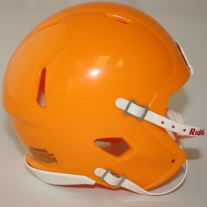 Details about   riddell Gatorade mini helmet 