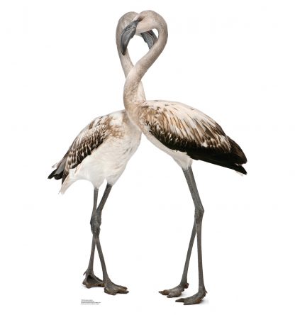 SU-1490 Flamingos Lifesize Cutout Standup