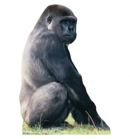 SU-220 Gorilla Lifesize Cutout Standup