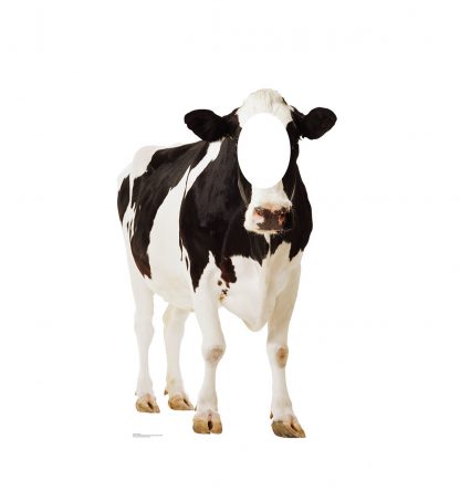 SU-2300 Cow Cardboard Cutout Stand In