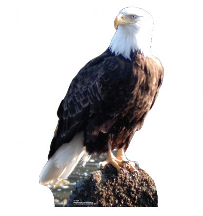 SU-57 Bald Eagle Lifesize Cutout Standup
