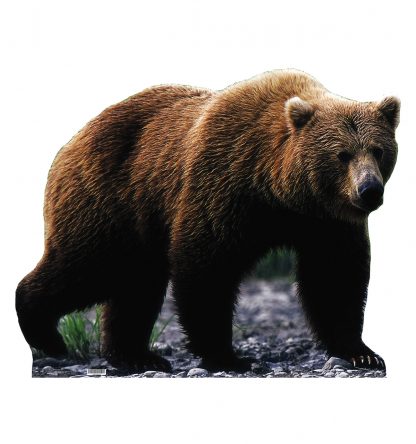 SU-675 Grizzly Bear Lifesize Cutout Standup