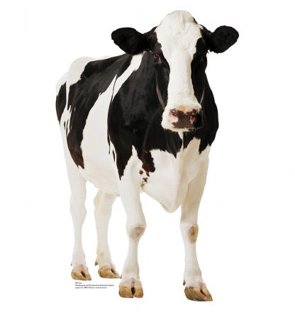 SU-709 Cow Lifesize Cardboard Cutout Standup