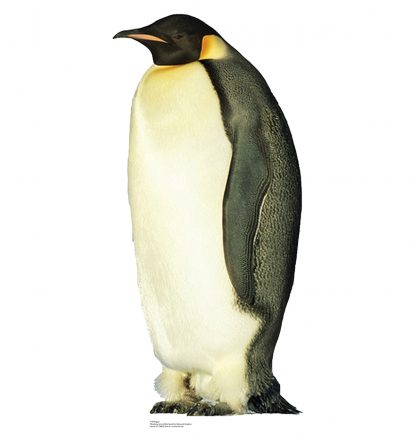 SU-710 Penguin Lifesize Cutout Standup