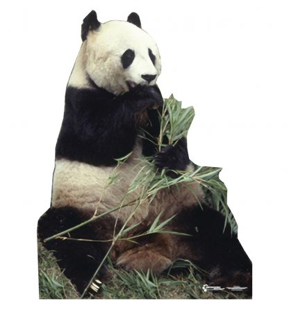 SU-734 Panda Bear Lifesize Cutout Standup