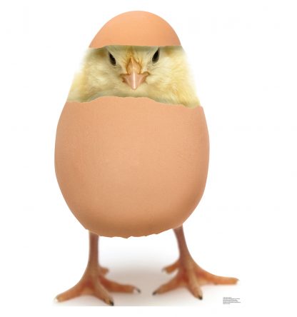 SU-1766 Hatching Chick Lifesize Cutout Standup