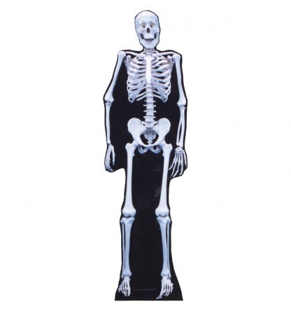 SU-193 Skeleton Lifesize Cardboard Cutout Standup