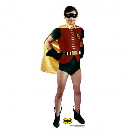 SU-2056 Robin Lifesize Cardboard Cutout Standup