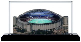 Houston_Cougars_Astrodome_Stadium