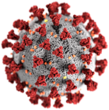 coronavirus-covid-19