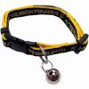Pittsburgh Pirates cat collar