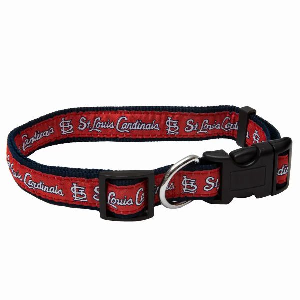 st louis cardinals dog collar small