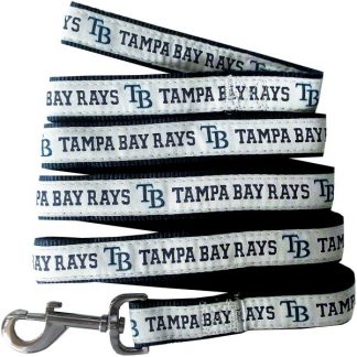 Tampa Bay Rays pet leash
