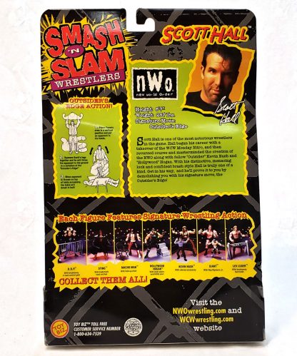 NWO Figure Scott Hall