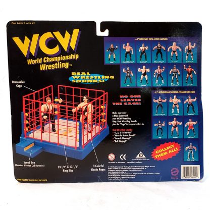 WCW Figure Sting Wolfpack Sting