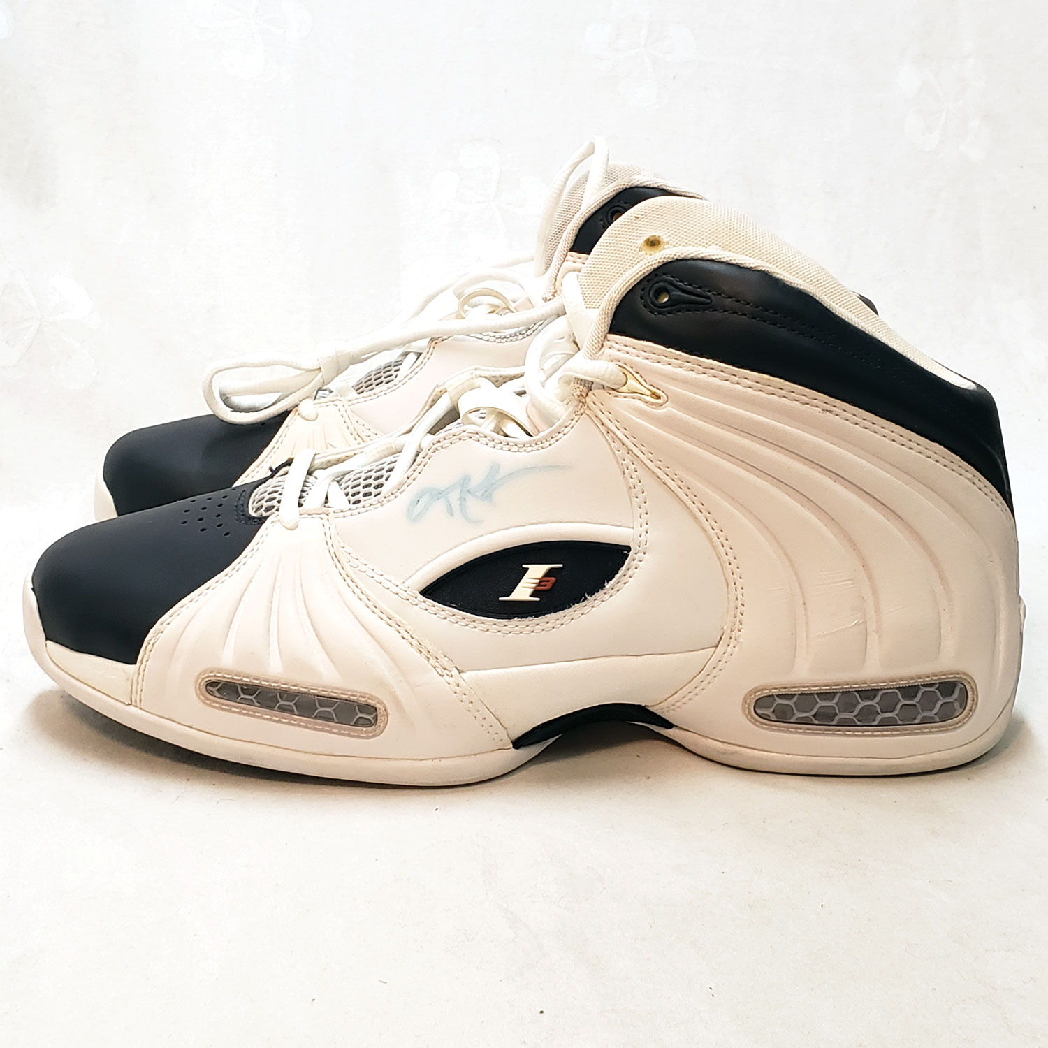 Allen Iverson Signed Game Worn Sneakers