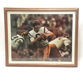 Sonny-Jurgensen-Poster-1