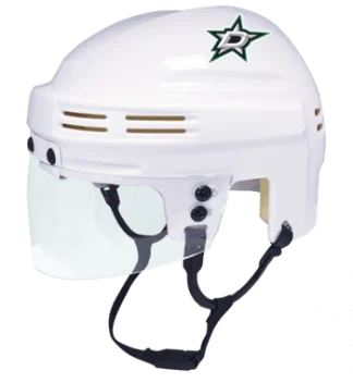 Dallas Stars White Mini Hockey Helmet