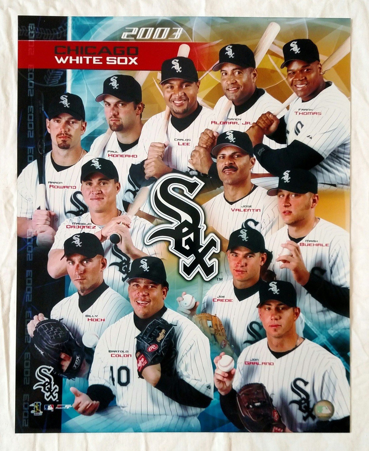 Chicago White Sox 2003 Team Composite 16 X 20 Photo Swit Sports
