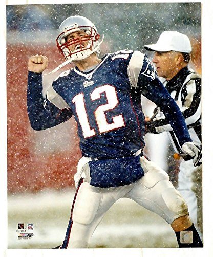 New England Patriots Tom Brady 16 x 20 Action Photo