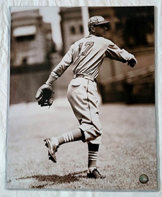 St. Louis Cardinals Dizzy Dean 16 x 20 Photo