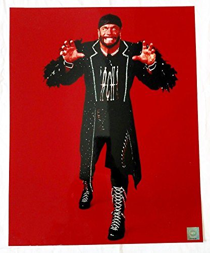 WCW Randy "Macho Man" Savage 16 x 20 Photo